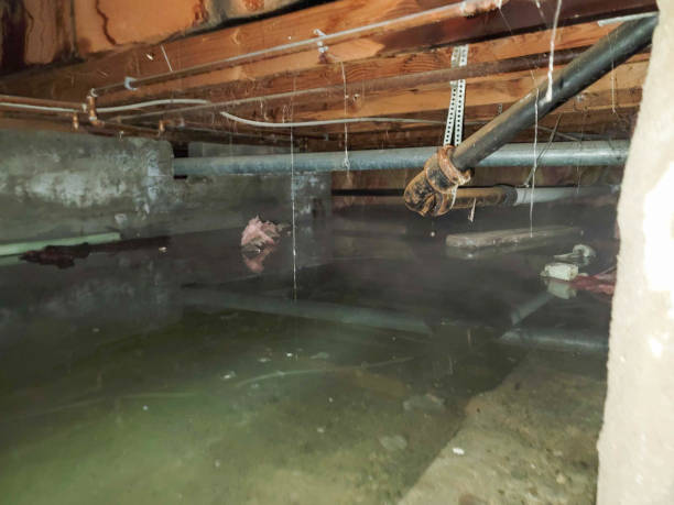 Best Local water damage restoration  in Oakhurst, CA