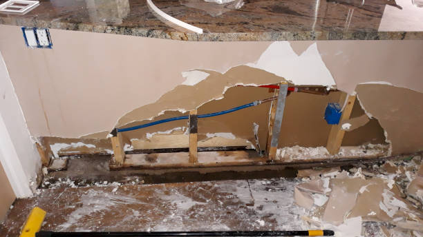 Best Fire Damage Restoration  in Oakhurst, CA