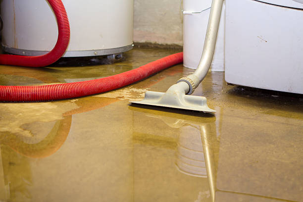 Best Basement water damage restoration  in Oakhurst, CA
