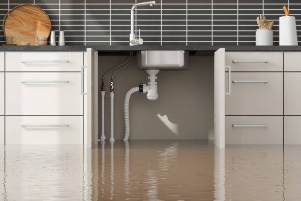 Water damage restoration mold remediation in Oakhurst, CA